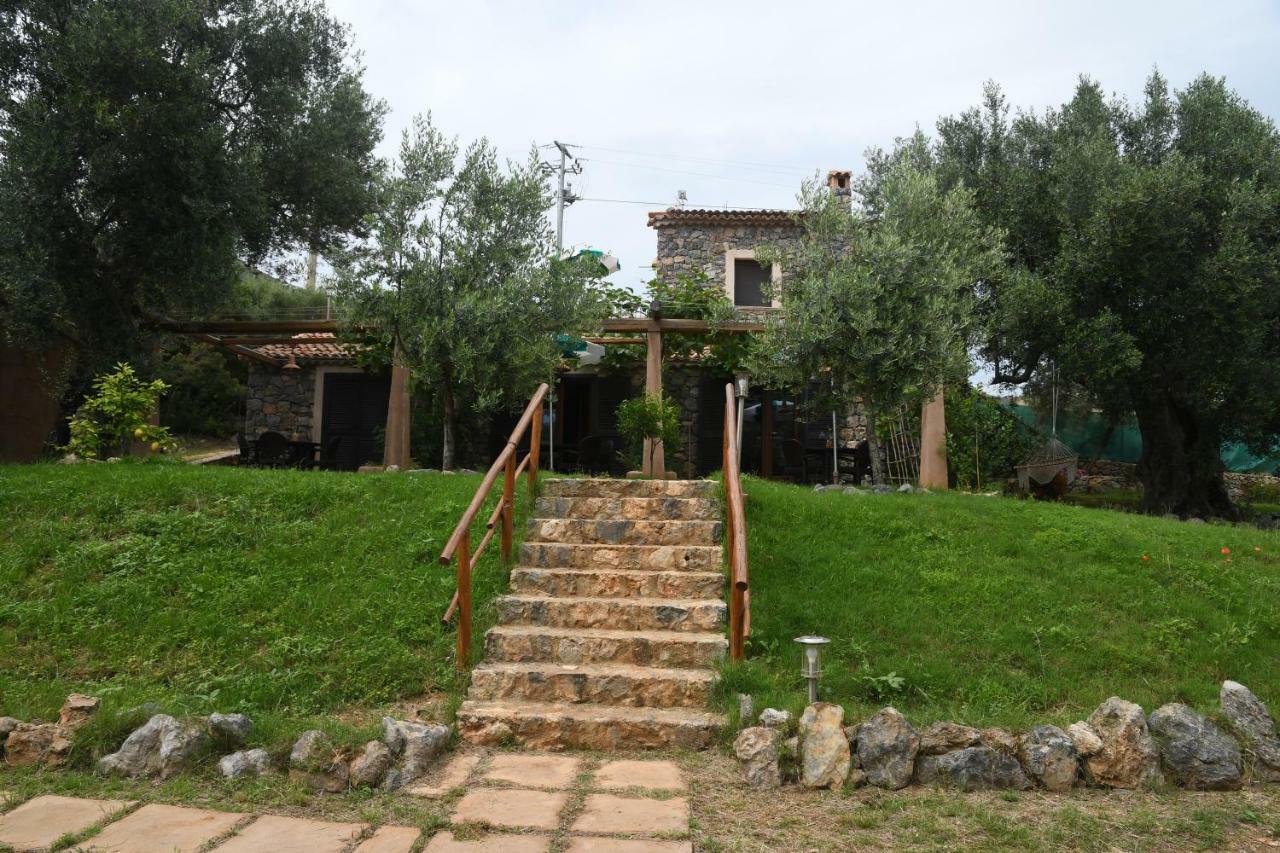 Le Case Di Arconte Marina di Camerota Exterior photo